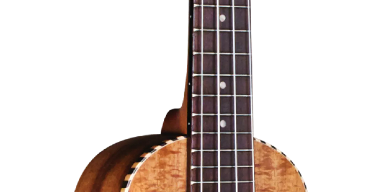 25S - Cordoba Guitars